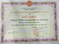 giấy khen cục thuế tặng nhân kiệt